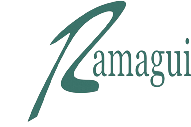 logo vazado